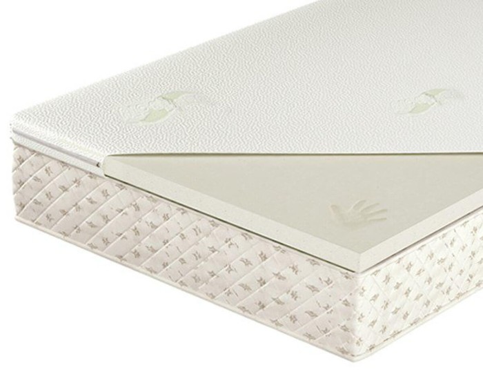 Orchila EXC Standard A - Visco AA