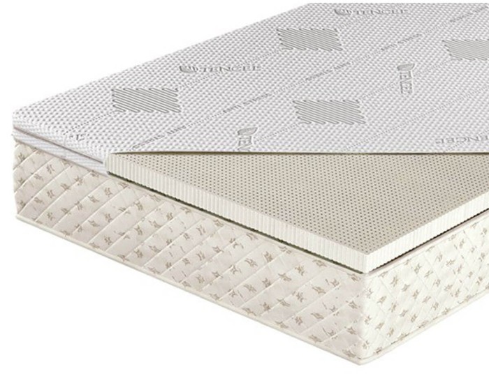 Orchila EXC Standard TH3 - Talalay