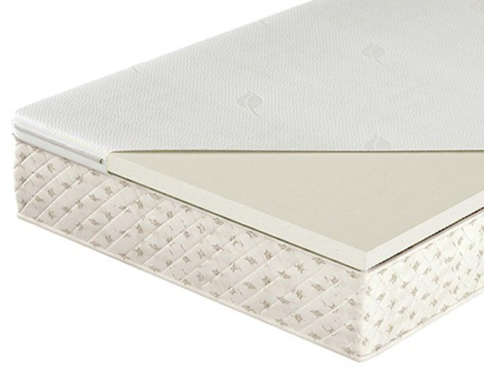 Orchila EXC Standard V - Visco