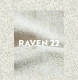 raven22.webp